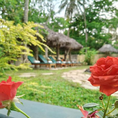 Marari Beach Bungalow Resort Alleppey Mararikulam Buitenkant foto