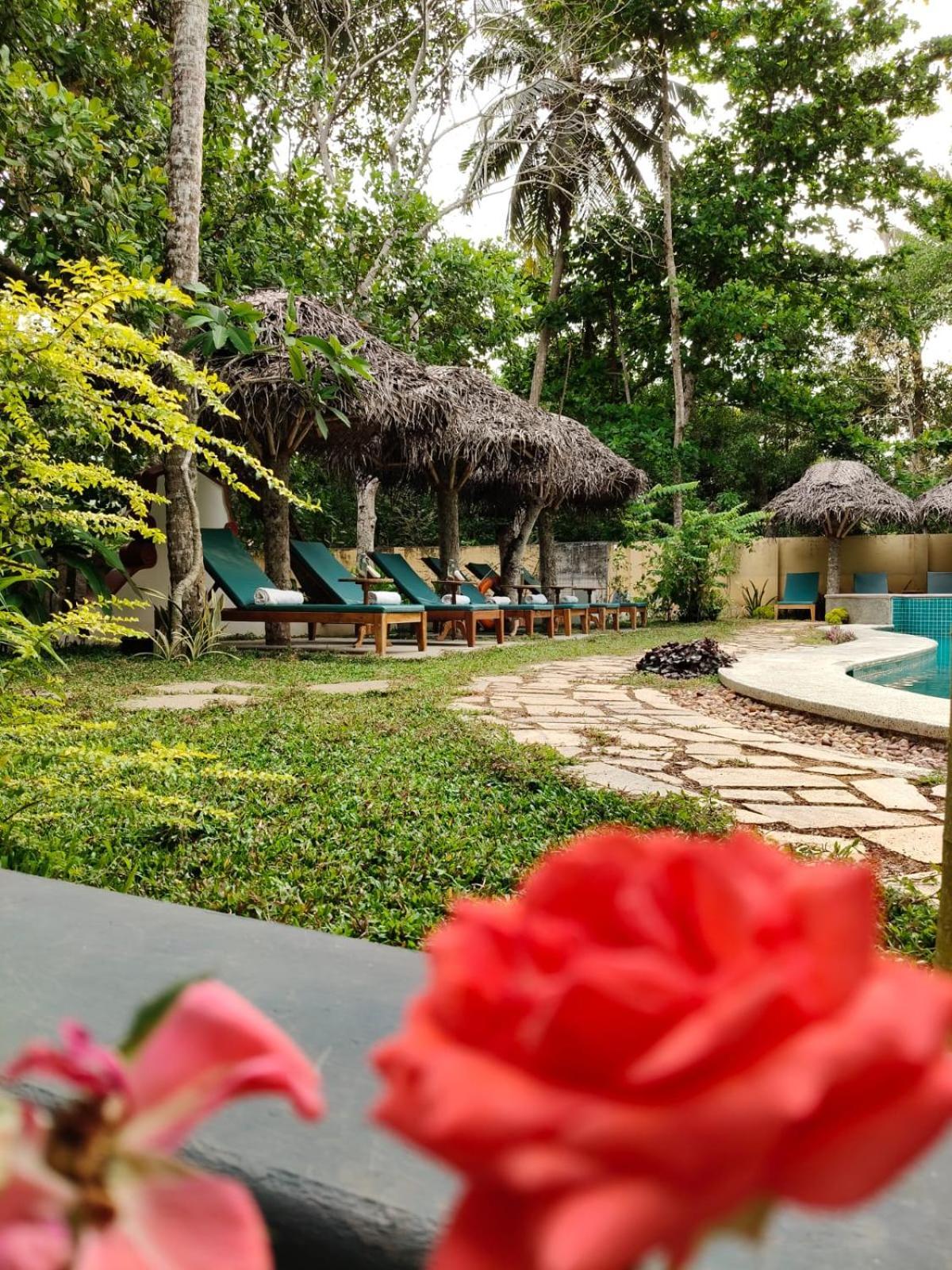 Marari Beach Bungalow Resort Alleppey Mararikulam Buitenkant foto