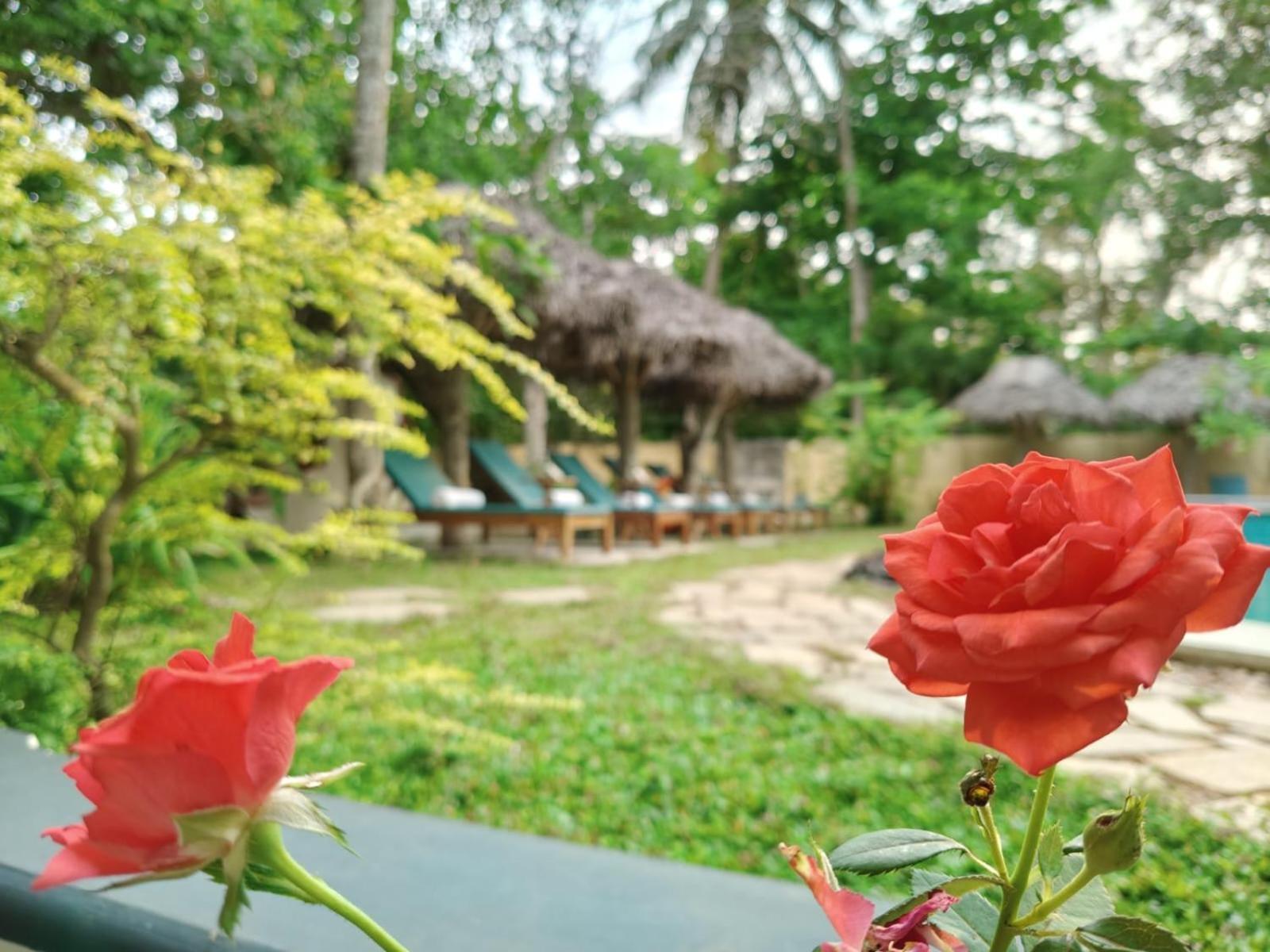 Marari Beach Bungalow Resort Alleppey Mararikulam Buitenkant foto